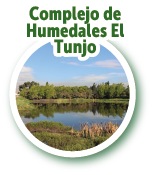 Complejo de humedales El Tunjo