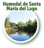 Humedal de Santa MarÃ­a del Lago 