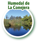 Humedal de La Conejera 