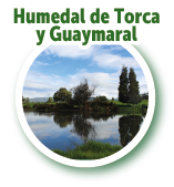 Humedal de Torca y Guaymaral