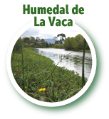 Humedal de La Vaca