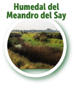 Humedal del Meandro del Say 