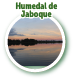 Humedal de Jaboque 