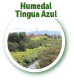 Humedal Tingua Azul